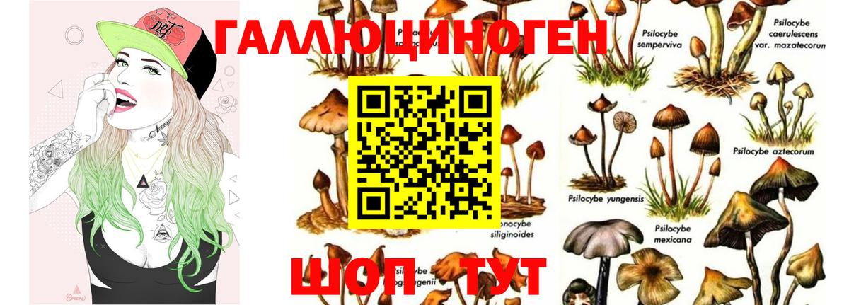 Назарово  где продают   Вход с VPN  Галлюциногенные грибы Magic Shrooms  Галлюциногенные грибы GOLDEN TEACHER 